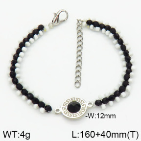 Stainless Steel Bracelet  2B4000998vhkb-658