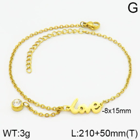 Stainless Steel Bracelet  2B4001030vbll-738