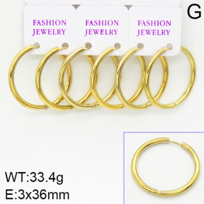 Stainless Steel Earrings  2E2000729ahjb-658