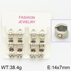 Stainless Steel Earrings  2E2000731aivb-658