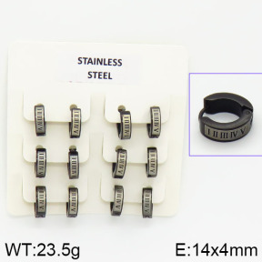 Stainless Steel Earrings  2E2000732aivb-658