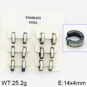 Stainless Steel Earrings  2E2000733aivb-658