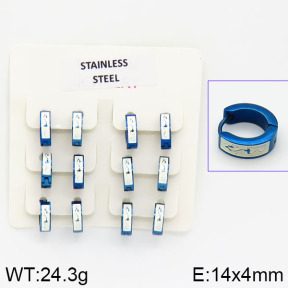 Stainless Steel Earrings  2E2000734ahlv-658