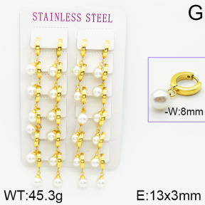 Stainless Steel Earrings  2E3000608alka-671