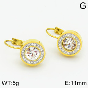 Stainless Steel Earrings  2E4000949bbml-669