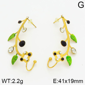 Stainless Steel Earrings  2E4000964bbov-658