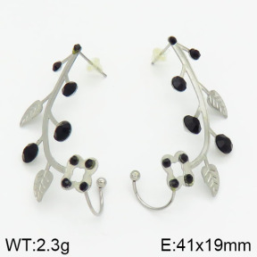 Stainless Steel Earrings  2E4000966vbmb-658