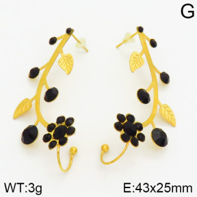 Stainless Steel Earrings  2E4000969bbov-658