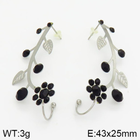 Stainless Steel Earrings  2E4000970vbmb-658