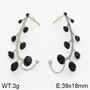 Stainless Steel Earrings  2E4000974vbmb-658