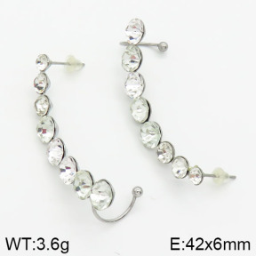 Stainless Steel Earrings  2E4000978vbmb-658