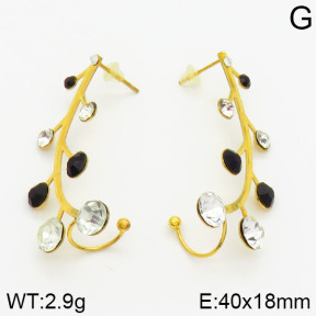 Stainless Steel Earrings  2E4000981bbov-658