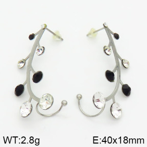 Stainless Steel Earrings  2E4000982vbmb-658