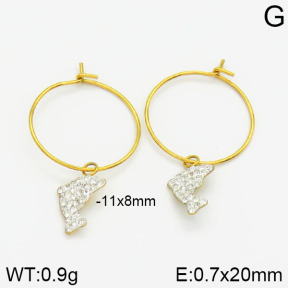 Stainless Steel Earrings  2E4000990bbov-658