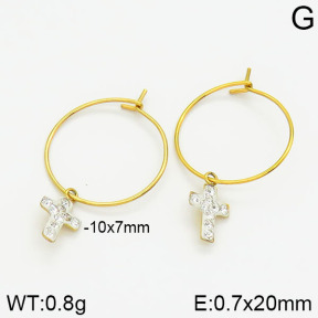 Stainless Steel Earrings  2E4000992bbov-658