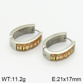 Stainless Steel Earrings  2E4000993vhov-658