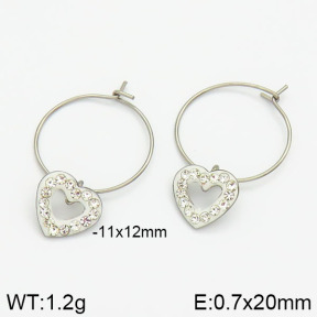 Stainless Steel Earrings  2E4000994vbnb-658