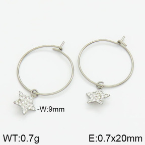 Stainless Steel Earrings  2E4000996vbnb-658