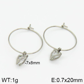 Stainless Steel Earrings  2E4000999vbnb-658