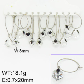 Stainless Steel Earrings  2E4001008aivb-658