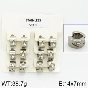 Stainless Steel Earrings  2E4001018vila-658