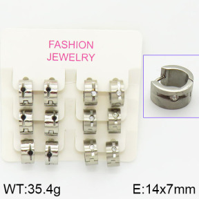 Stainless Steel Earrings  2E4001021aivb-658