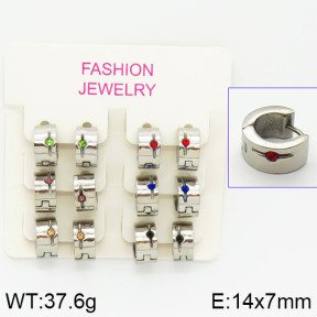 Stainless Steel Earrings  2E4001022aija-658