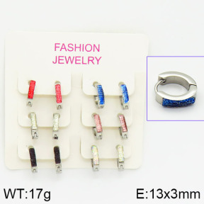 Stainless Steel Earrings  2E4001023aija-658