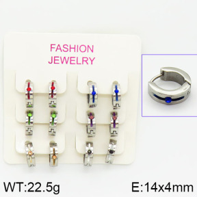 Stainless Steel Earrings  2E4001029aivb-658