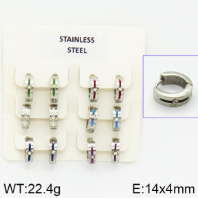 Stainless Steel Earrings  2E4001030aivb-658