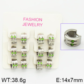 Stainless Steel Earrings  2E4001031vila-658