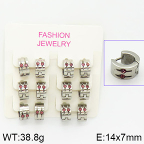 Stainless Steel Earrings  2E4001033biib-658