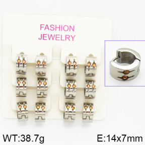 Stainless Steel Earrings  2E4001034biib-658