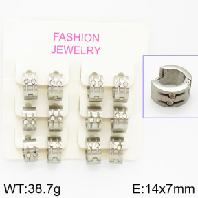 Stainless Steel Earrings  2E4001035biib-658