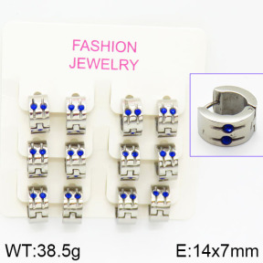 Stainless Steel Earrings  2E4001036biib-658