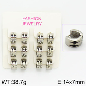 Stainless Steel Earrings  2E4001037biib-658