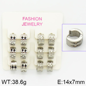 Stainless Steel Earrings  2E4001038biib-658