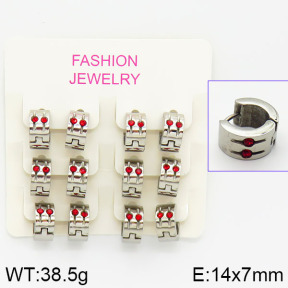 Stainless Steel Earrings  2E4001039biib-658