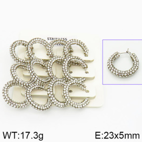 Stainless Steel Earrings  2E4001041aivb-658