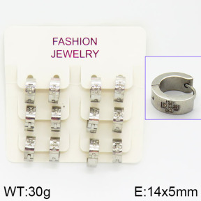 Stainless Steel Earrings  2E4001042vila-658