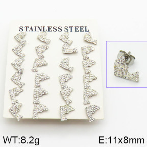 Stainless Steel Earrings  2E4001043akoa-658