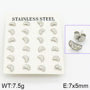 Stainless Steel Earrings  2E4001044vkla-658