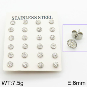 Stainless Steel Earrings  2E4001045vkla-658