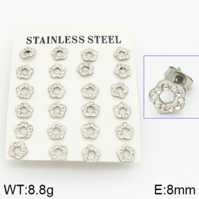 Stainless Steel Earrings  2E4001046vkla-658