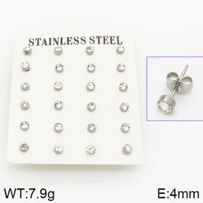 Stainless Steel Earrings  2E4001047bhva-658
