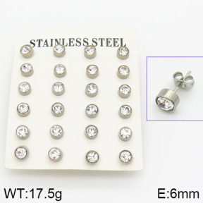 Stainless Steel Earrings  2E4001048ahlv-658
