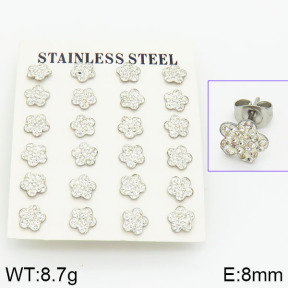 Stainless Steel Earrings  2E4001050akoa-658