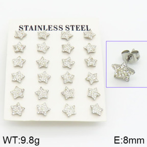 Stainless Steel Earrings  2E4001051akoa-658