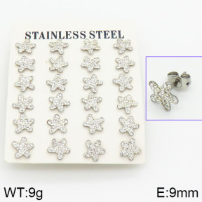Stainless Steel Earrings  2E4001052akoa-658