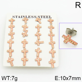Stainless Steel Earrings  2E4001054vkla-658
